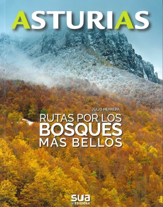 RUTAS POR LOS BOSQUES MAS BELLOS