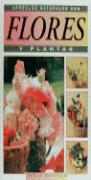 ARREGLOS NATURALES CON FLORES Y PLANTAS