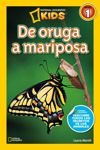 DE ORUGA A MARIPOSA.PRIMEROS LECTORES NIVEL 1