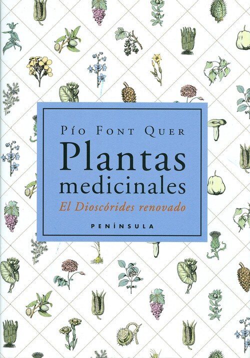 BOTANICA PINTORESCA