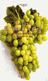 VINO Y LA VI�A, EL