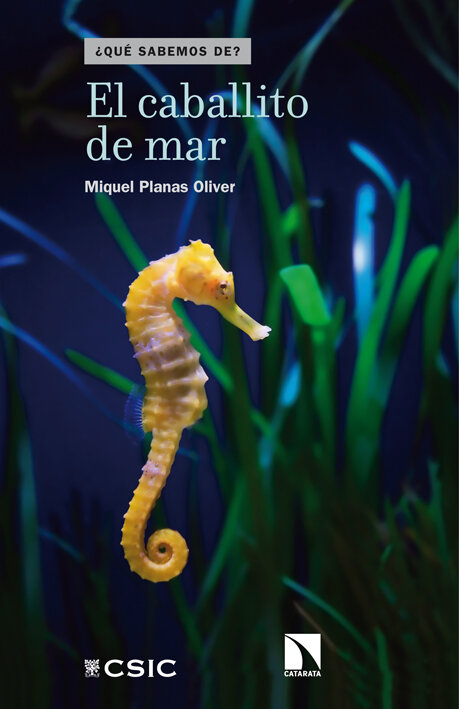 CABALLITO DE MAR, EL