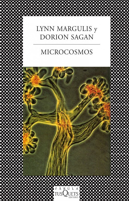 PROCEEDINGS OF THE FOURTH CONFERENCE ON ORIGINS OF LIFE