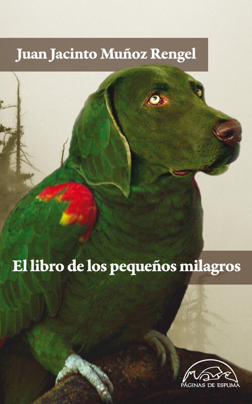 LIBRO DE LOS PEQUE�OS MILAGROS, EL