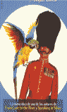 SHIT YOURSELF LITTLE PARROT (CAGATE LORITO)