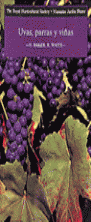 UVAS PARRAS Y VI�AS