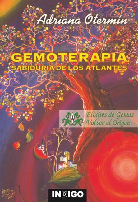 KINESIOLOGIA HOLISTICA