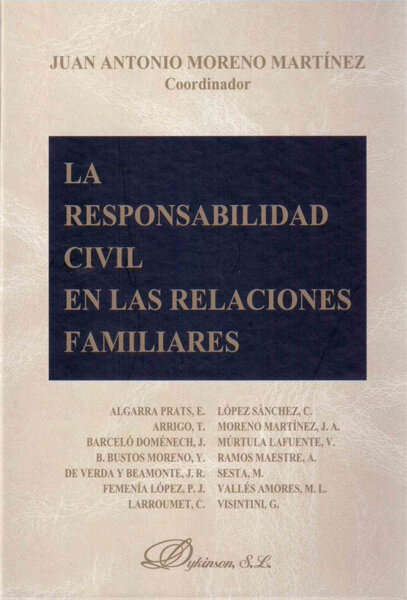 RESPONSABILIDAD CIVIL EN LAS RELACIONES FAMILIARES, LA