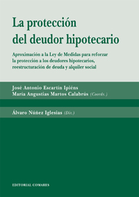 PROTECCION DEL DEUDOR HIPOTECARIO,LA