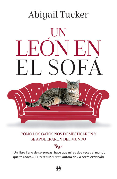 UN LEON EN EL SOFA