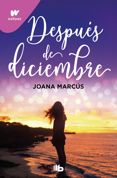 DESPUES DE DICIEMBRE (EDICION REVISADA POR LA AUTORA) (EDICI