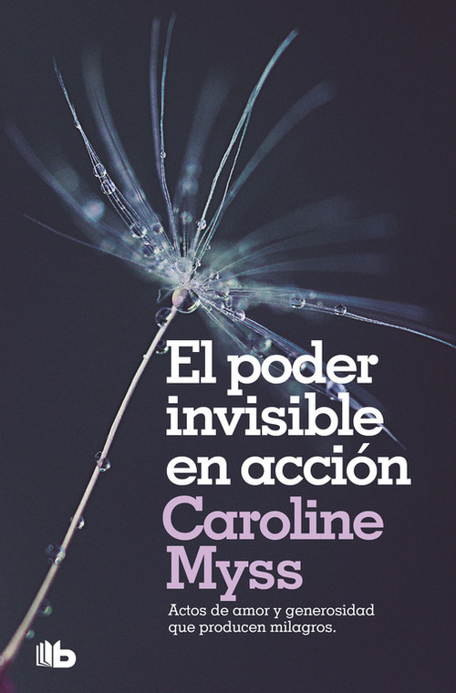 PODER INVISIBLE EN ACCION, EL