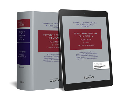 TRATADO DE DERECHO DE LA FAMILIA (VOLUMEN VI) (PAPEL + E-BOO