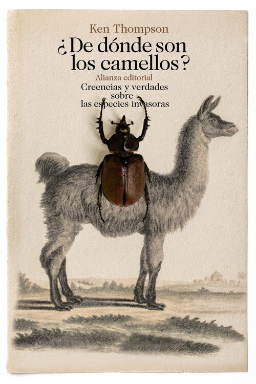 DE DONDE SON LOS CAMELLOS?