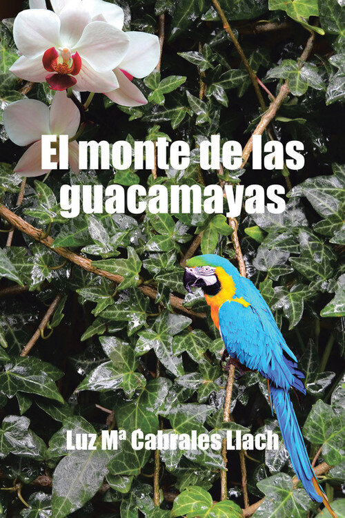 MONTE DE LAS GUACAMAYAS, EL