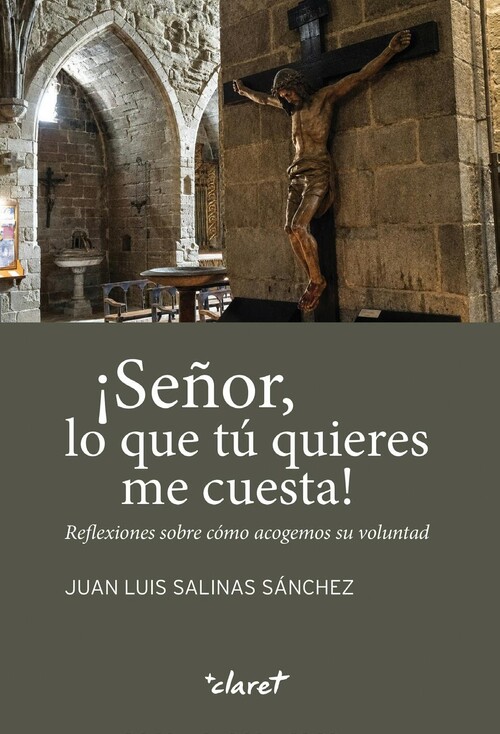 SE�OR, LO QUE TU QUIERES ME CUESTA!