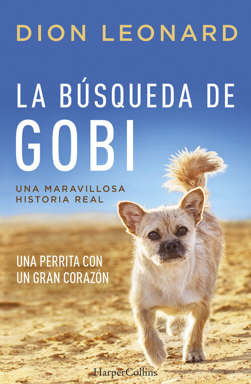 BUSQUEDA DE GOBI, LA
