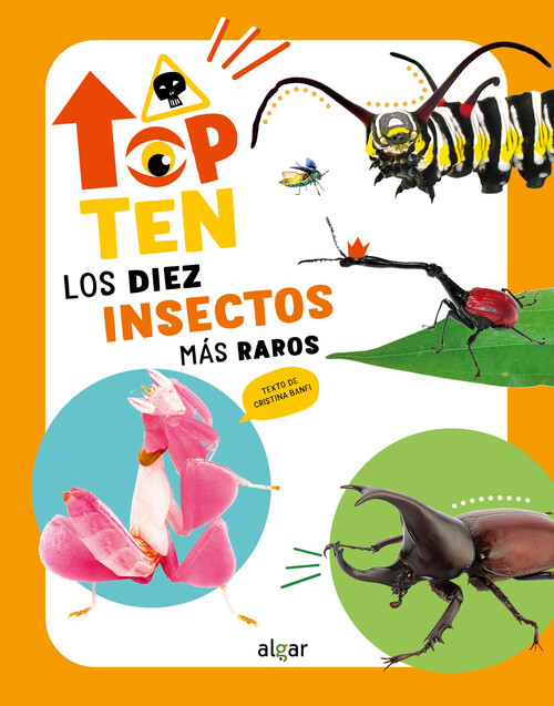 TOP TEN LOS DIEZ LUGARES MAS PELIGROSOS DEL PLANETA