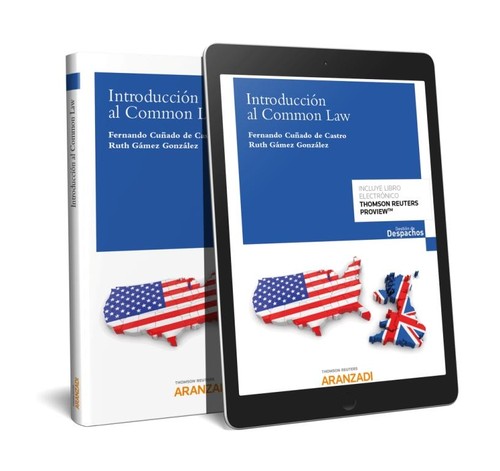 INTRODUCCION AL COMMON LAW (PAPEL + E-BOOK)