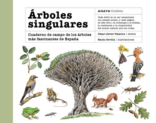 NACION Y SU HISTORIA,LA