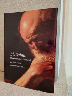 DISCERNIMIENTO DEL ACTUAR HUMANO