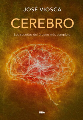 CEREBRO, EL