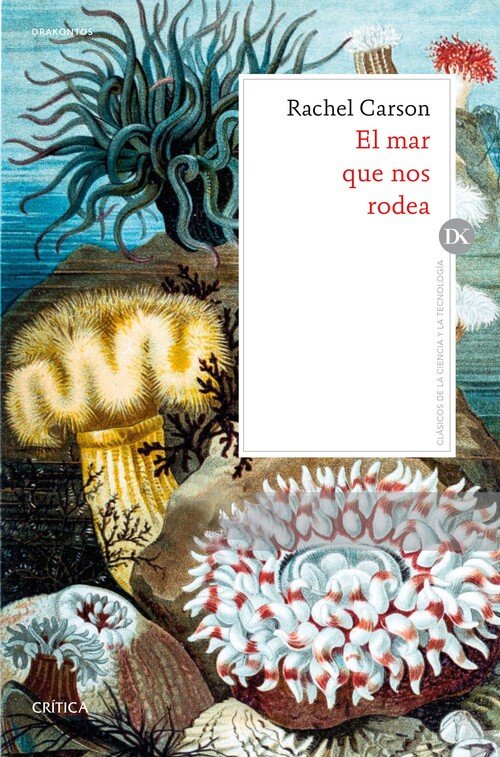 SENTIDO DEL ASOMBRO, EL