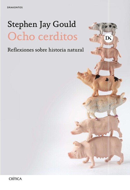 OCHO CERDITOS