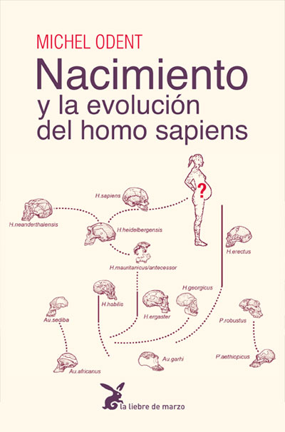FUNCIONES DE LOS ORGASMOS,LAS