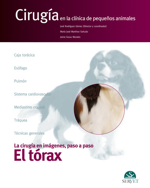 TORAX LA CIRUGIA EN IMAGENES PASO A PASO,EL