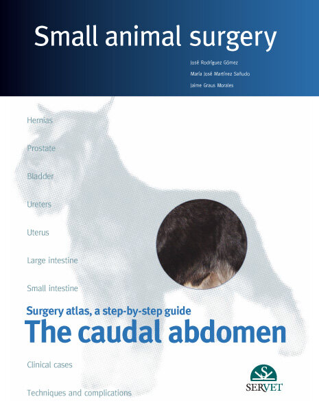 THE CAUDAL ABDOMEN, SMALL ANIMAL SURGERY