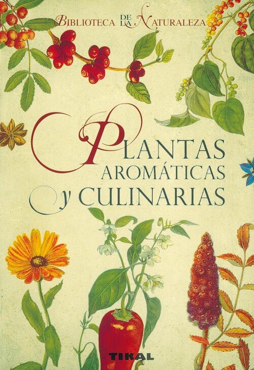 PLANTAS AROMATICAS Y CULINARIAS