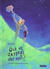 QUE VIENE DESPUES DEL MIL
