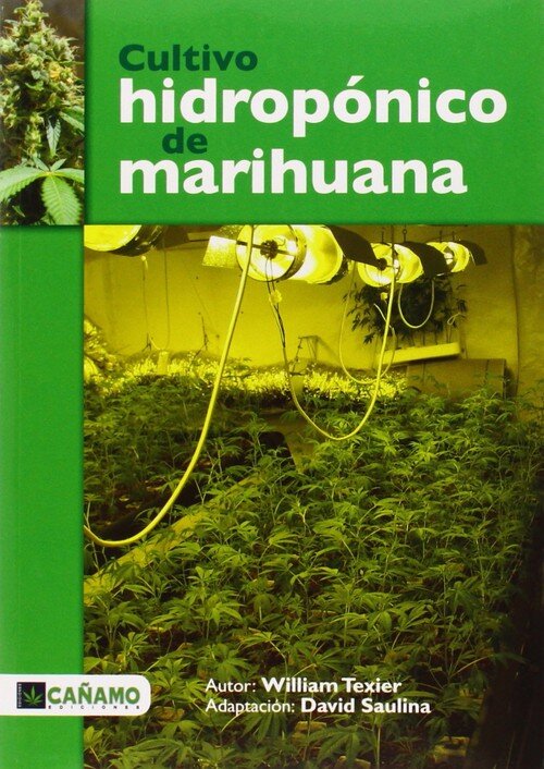CULTIVO HIDROPONICO DE LA MARIHUANA