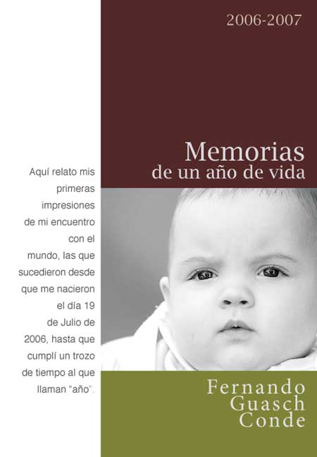 MEMORIAS DE UN A�O DE VIDA