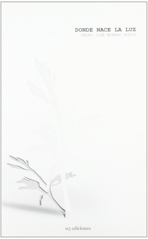 DONDE NACE LA LUZ