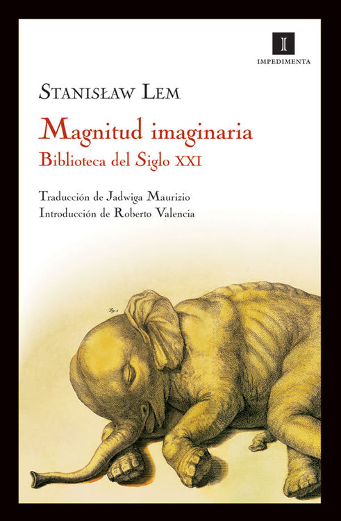 MAGNITUD IMAGINARIA