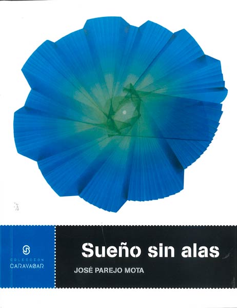 SUE�O SIN ALAS