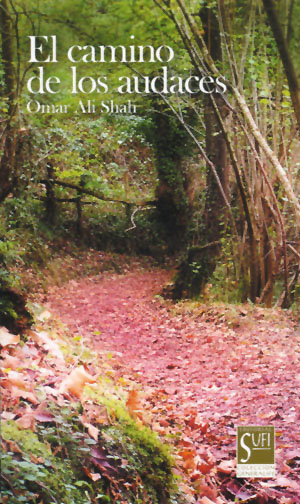 CAMINO DE LOS AUDACES, EL