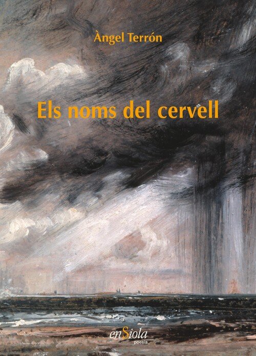 ELS NOMS DEL CERVELL