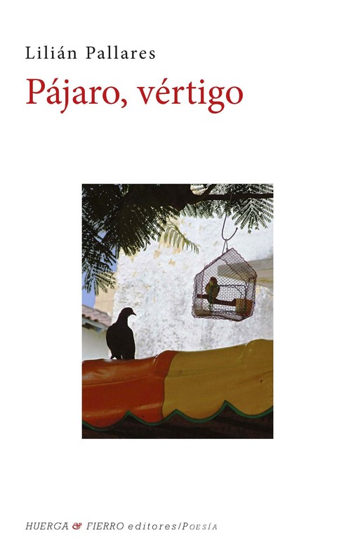 PAJARO,VERTIGO