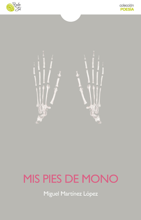 MIS PIES DE MONO