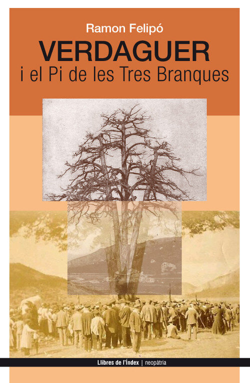 VERDAGUER I EL PI DE LES TRES BRANQUES