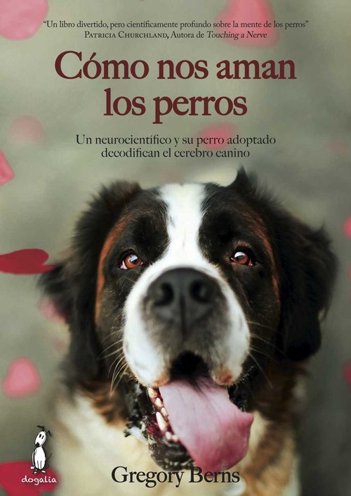 COMO NOS AMAN LOS PERROS