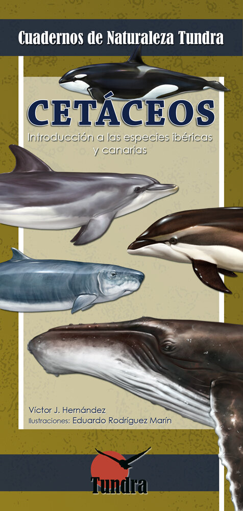 CETACEOS-INTRODUCCION A LAS ESPECIES IBERICAS Y CANARIAS