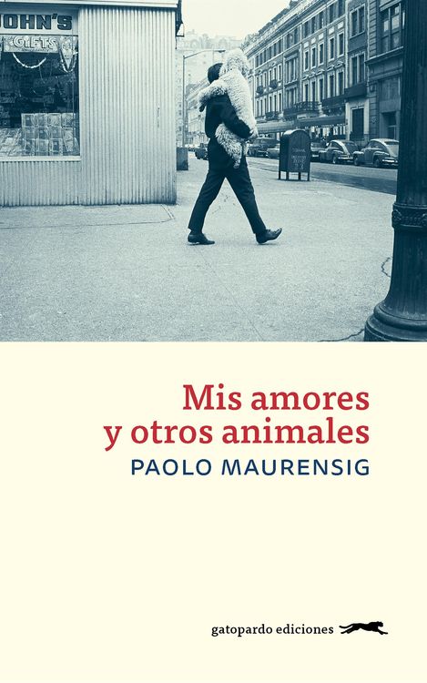 TEORIA DE LAS SOMBRAS