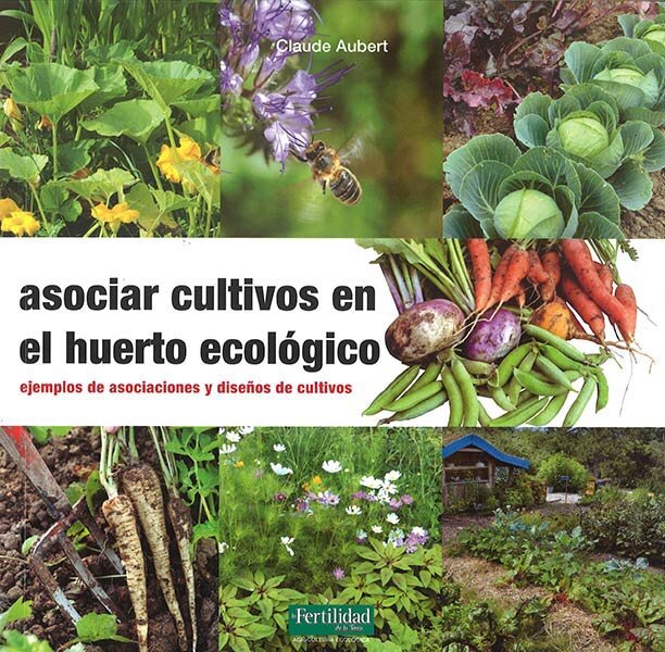 ASOCIAR CULTIVOS EN EL HUERTO ECOLOGICO