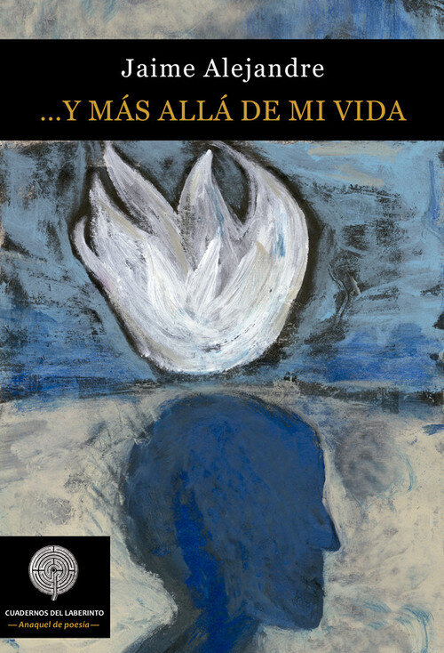 Y MAS ALLA DE MI VIDA