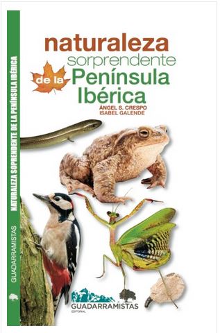 ANIMALES RAROS. LOS ANIMALES MAS EXTRAOS DEL PLANETA