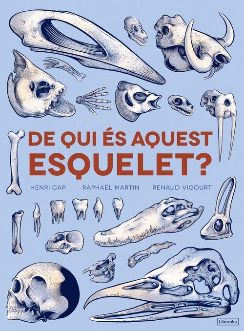 DE QUI ES AQUEST ESQUELET